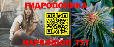 a pvp Донской