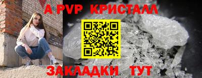a pvp Донской