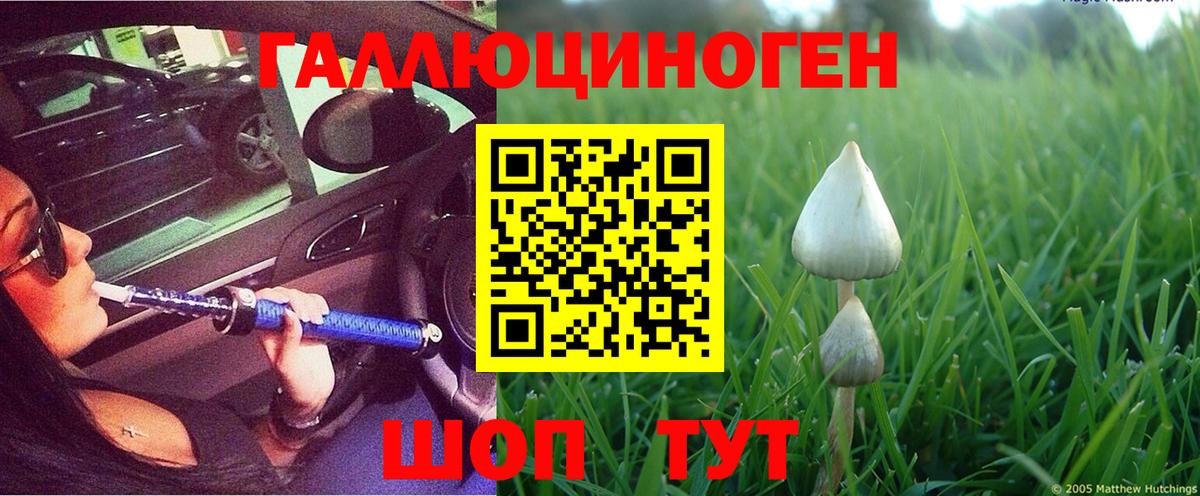 Галлюциногенные грибы мицелий  Вход с VPN  продажа наркотиков  Галлюциногенные грибы Cubensis  Междуреченск 